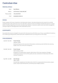 Choose template Princeton and create a professional CV