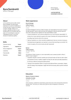 Choose template Hopkins and create a professional CV